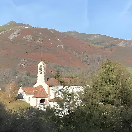 Axeri Xilo *