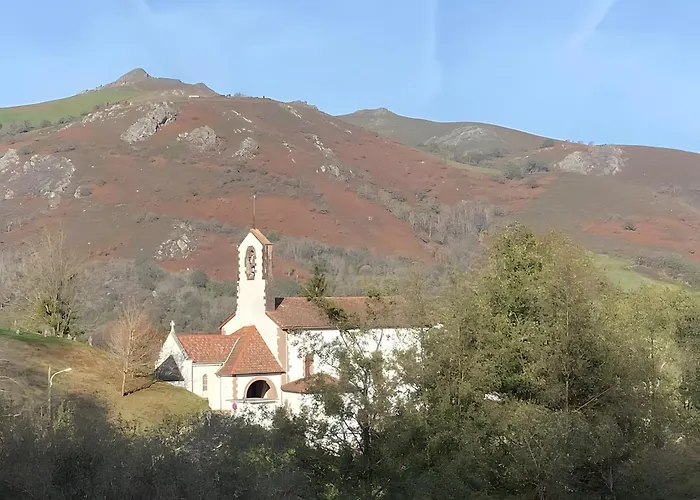 Axeri Xilo *